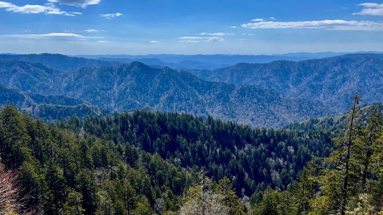 The Alum Cave Trail rewards hikers with dramatic mountain views as they ascend toward Mount Le Conte’s summit.